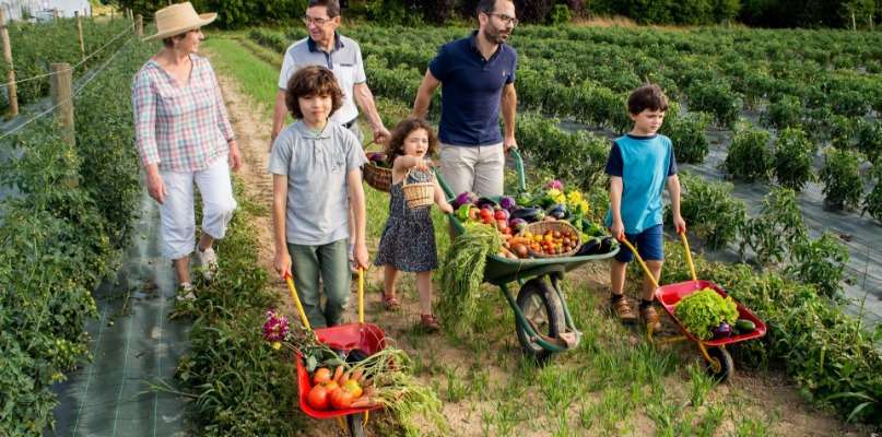 FAMILLE CUEILLETTE